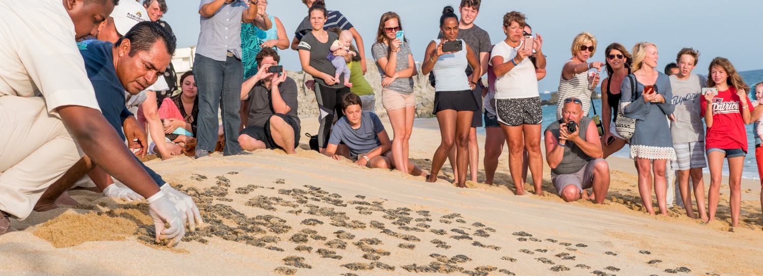 a group of people taking a picture of a turtle