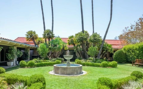 a fountain in a yard
