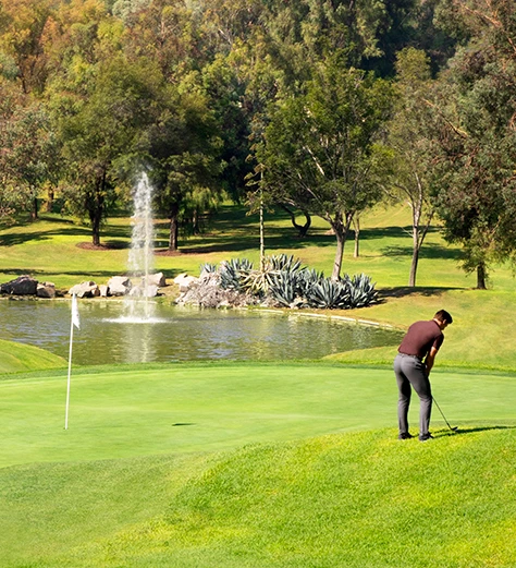 a man playing golf on a golf course