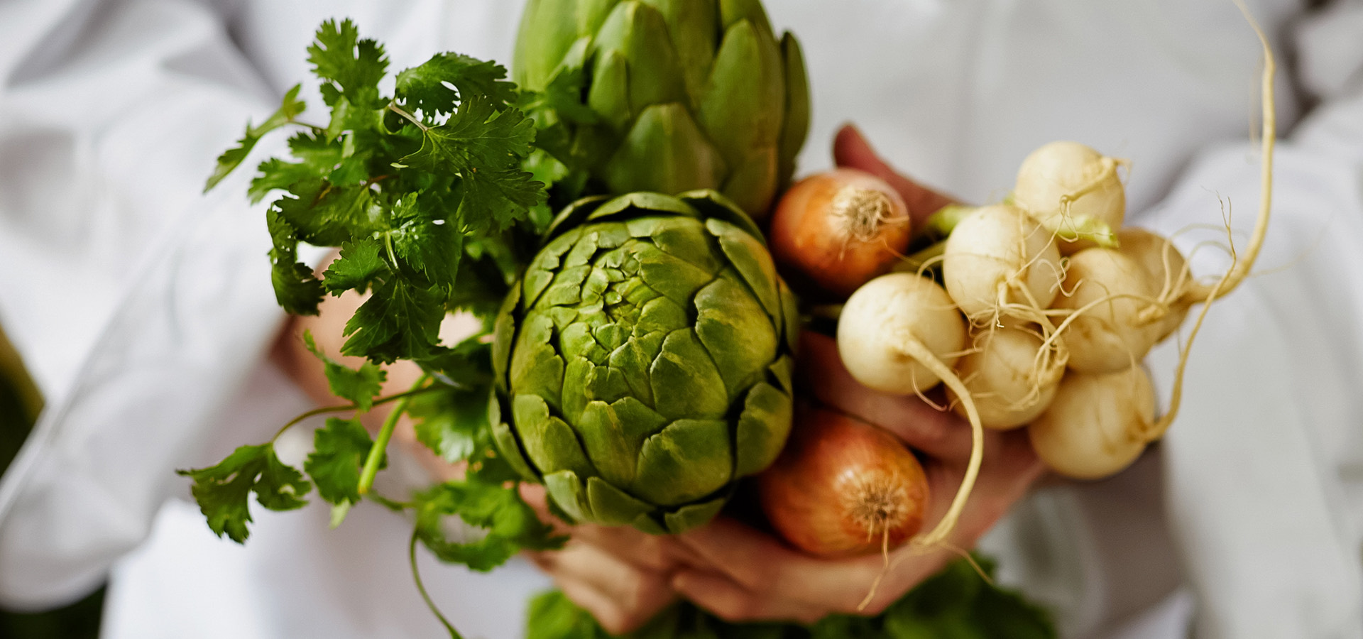 person holding varied harvest