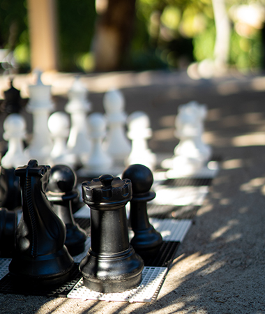 a chess board with black and white pieces