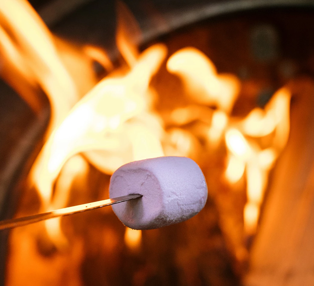 a marshmallow on a stick over a fire