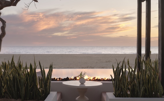 a table with plants on the beach