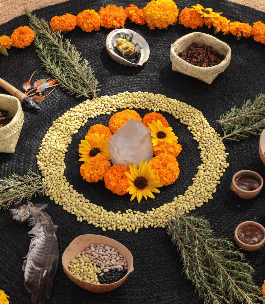 a circle of flowers and plants