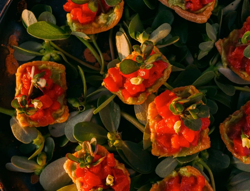 top view of appetizers