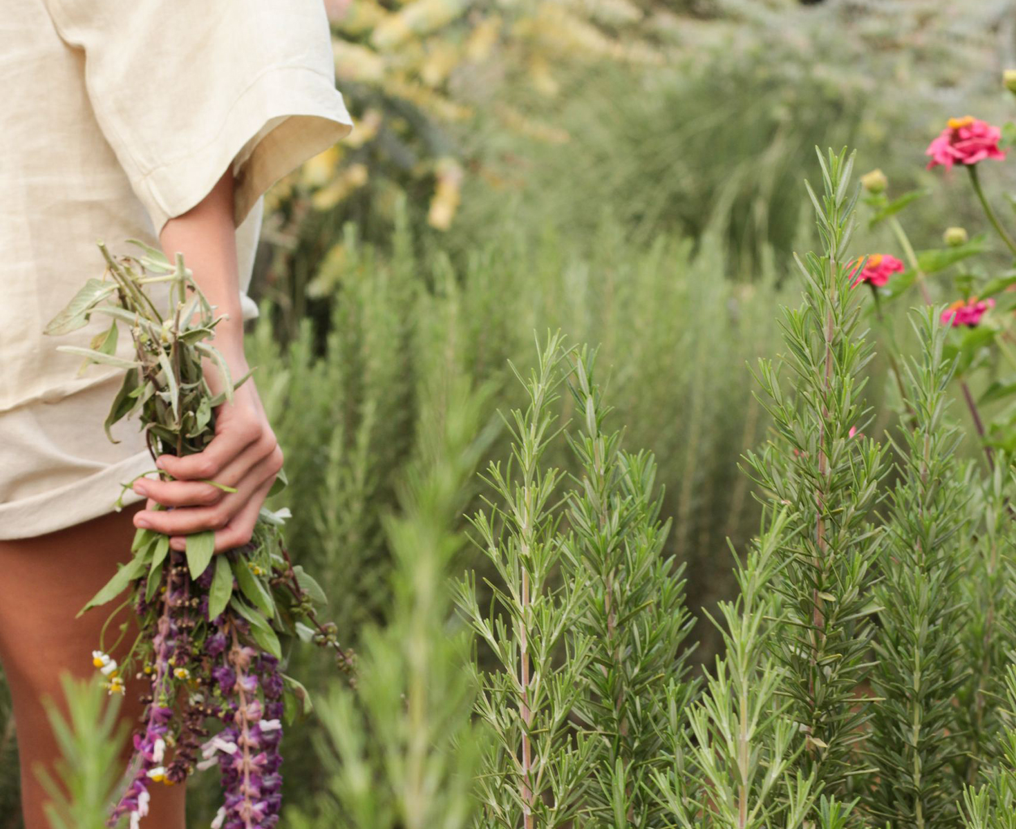 a person holding a bunch of flowers
