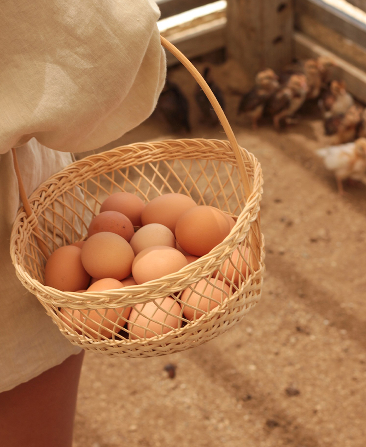 a person holding a basket of eggs