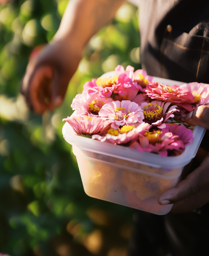 a person holding a container of flowers