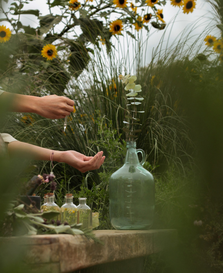 a person holding a dropper to a plant in a glass jug