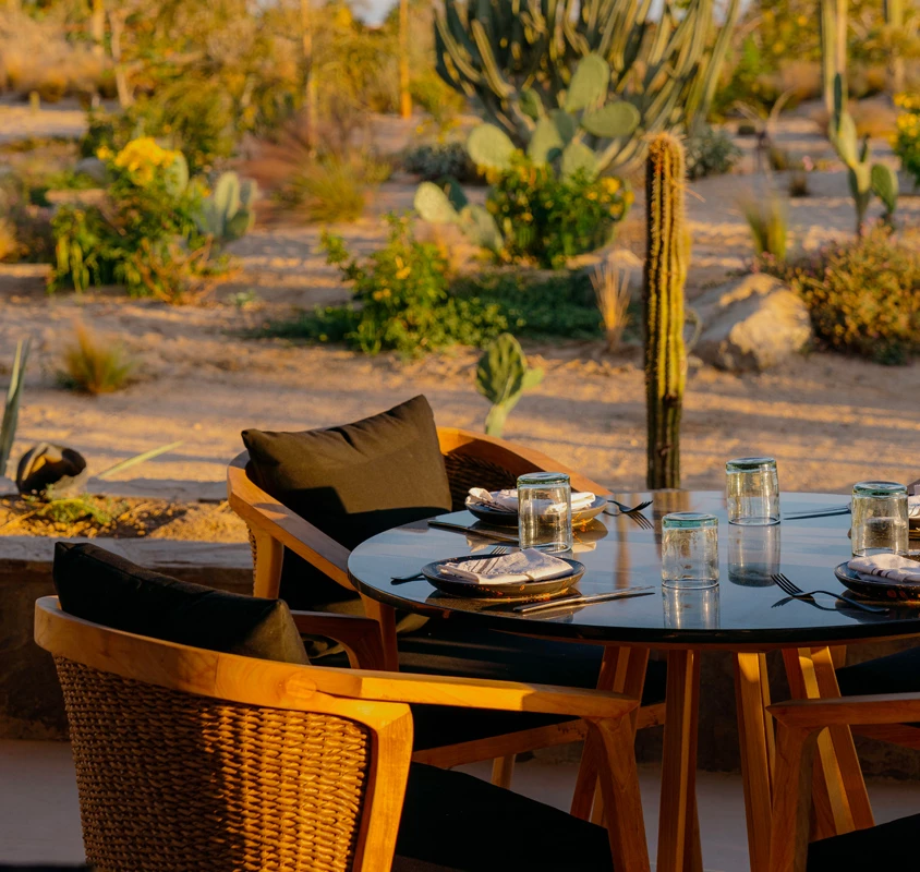 close up of outside dining area around greenery