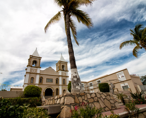 a building with a palm tree and a stone wall with a stone wall and a stone wall and