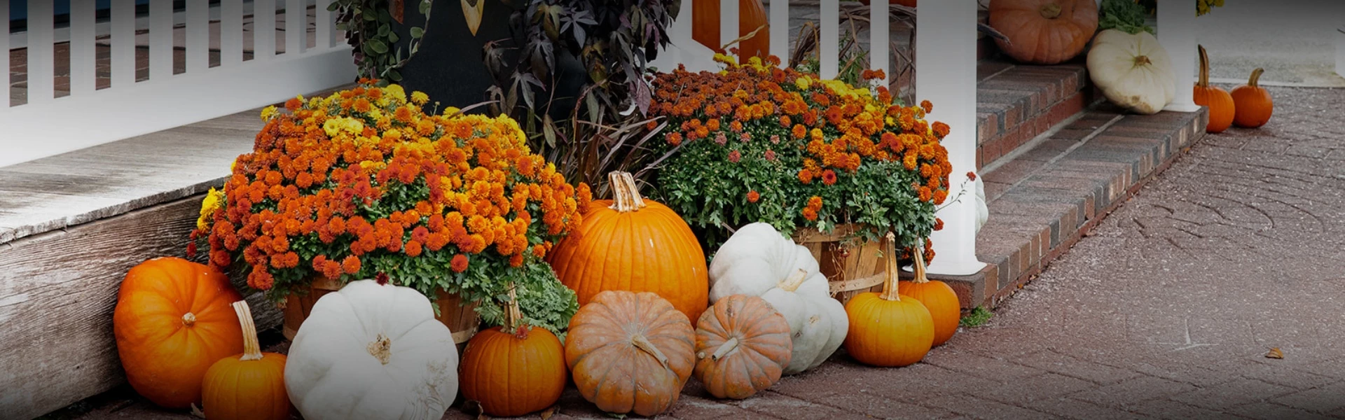 Fall in Cape Cod - South Yarmouth stay - Hotel on the beach