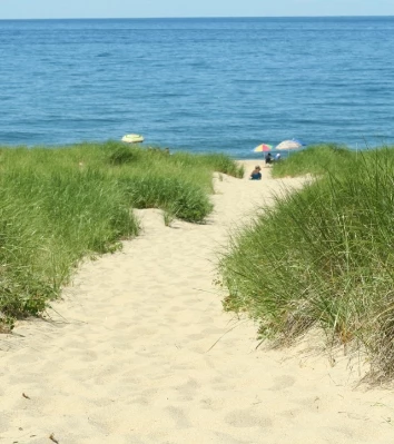 a path leading to the ocean