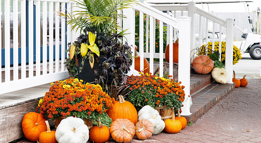pumpkins and pumpkins on a porch
