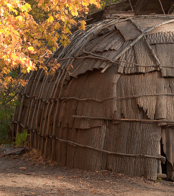a hut with a tree branch
