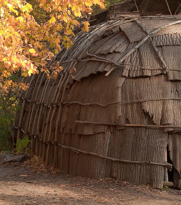 a hut with a tree branch