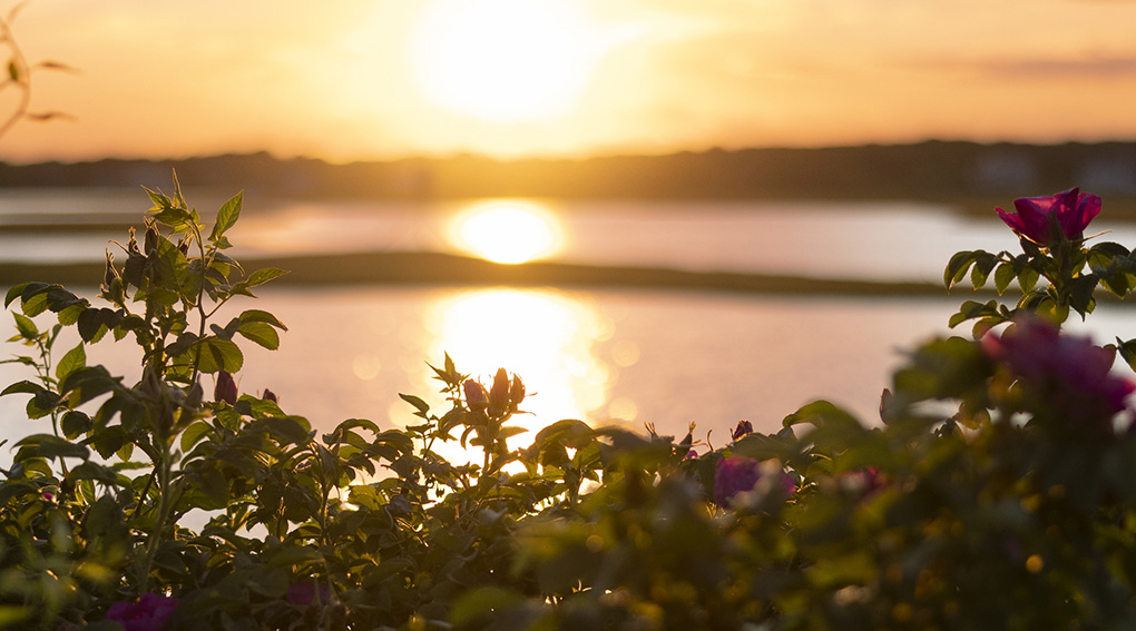 a sunset over a body of water