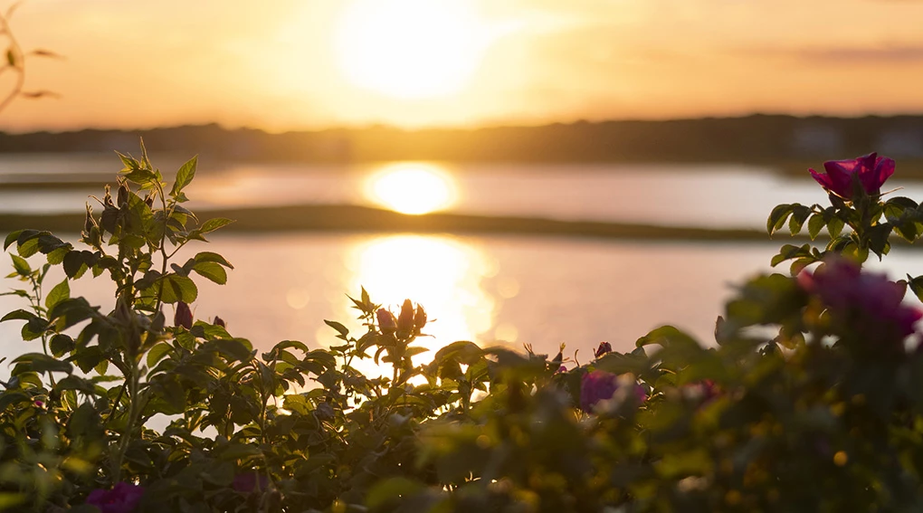 a sunset over a body of water