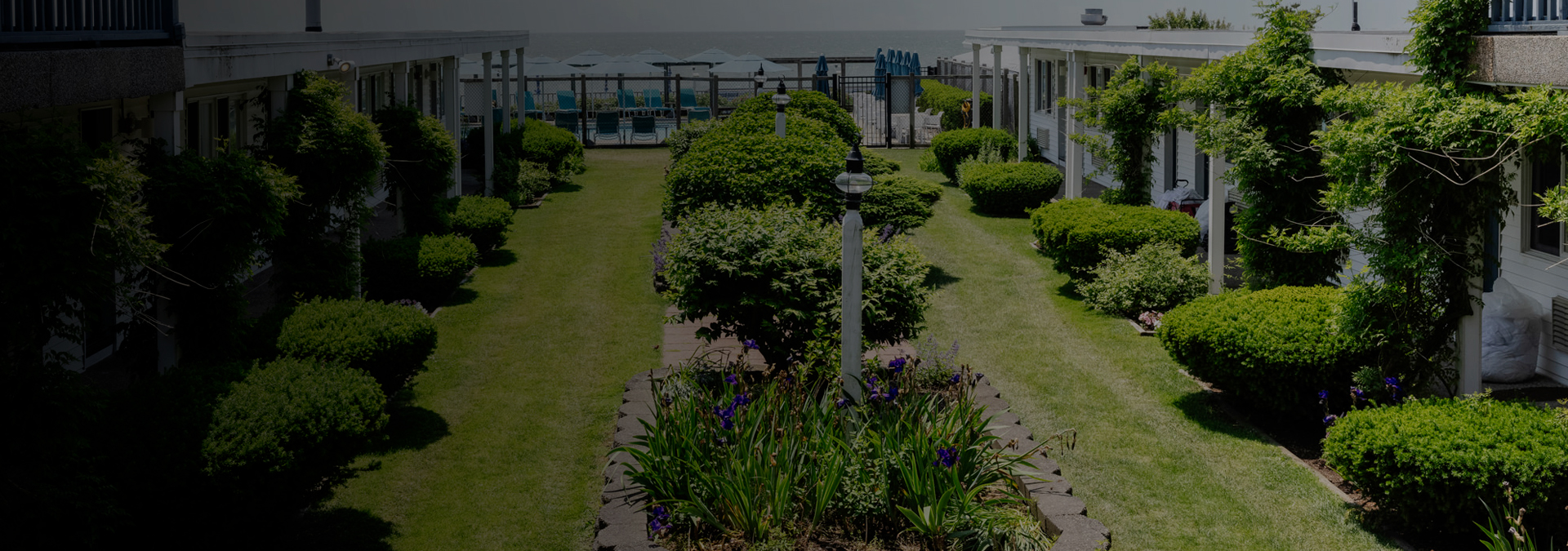 a lawn with bushes and a building with a beach in the background