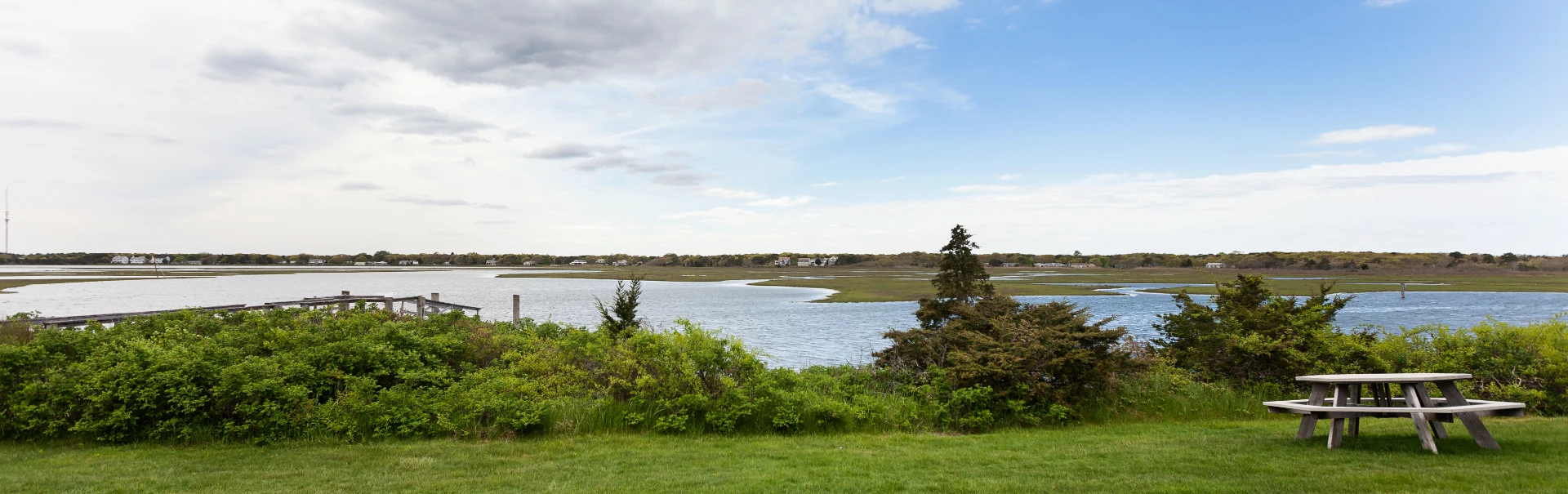 a body of water with trees and bushes