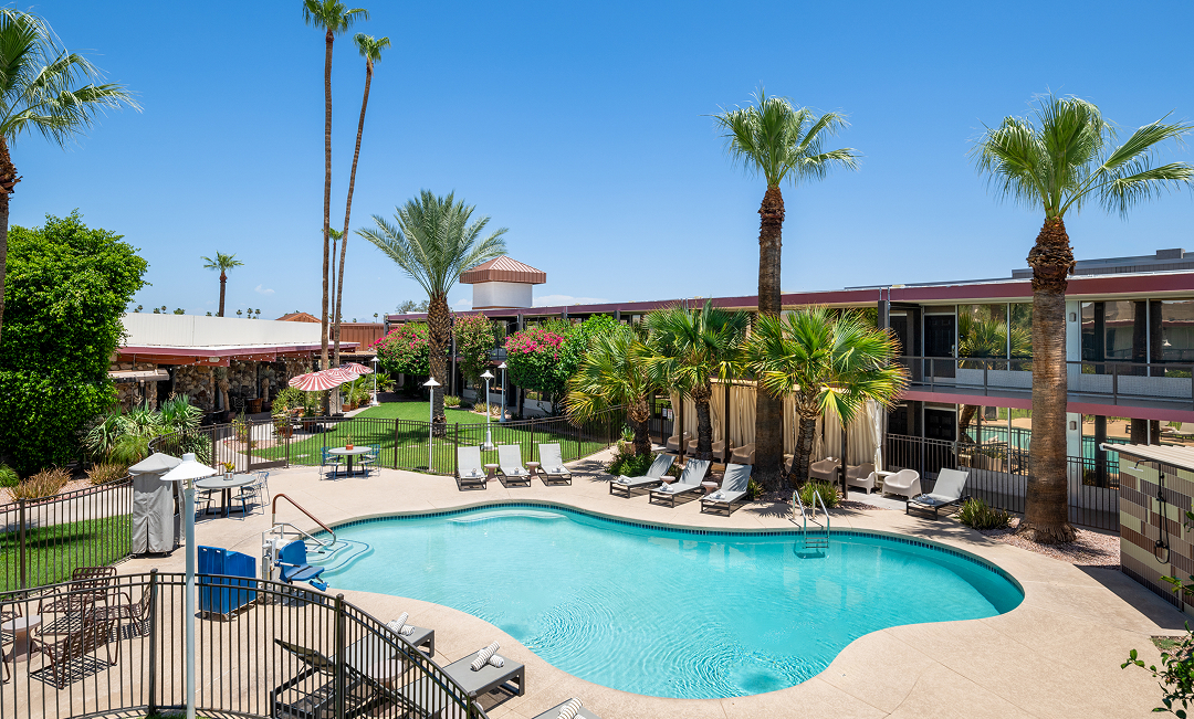 a pool with chairs and palm trees