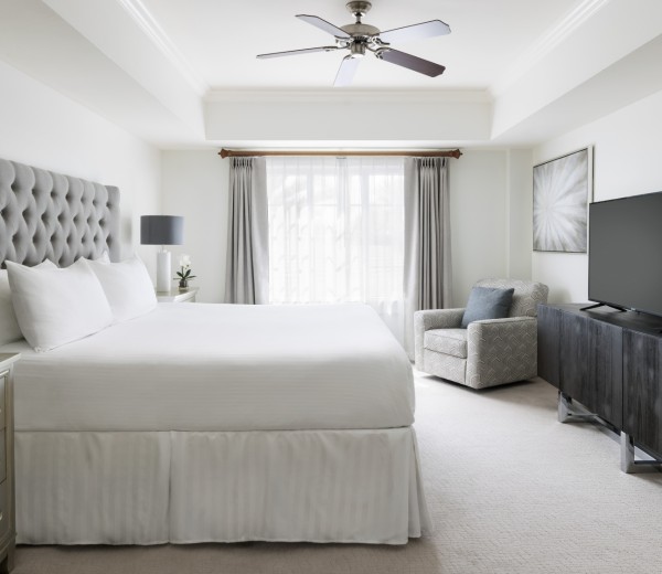 a bedroom with a bed and a tv