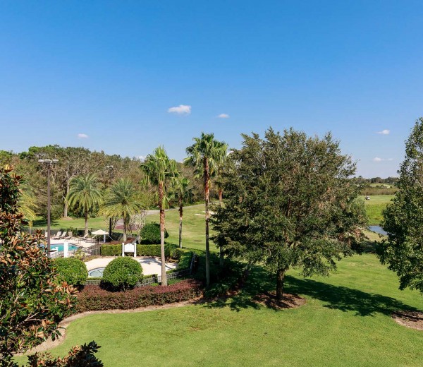 aerial view of pool section obstructed with trees