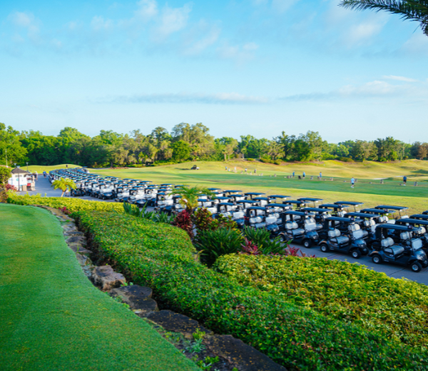 A row of golf carts lined up on a paved path surrounded by manicured grass and hedges with trees and a blue sky in the background.