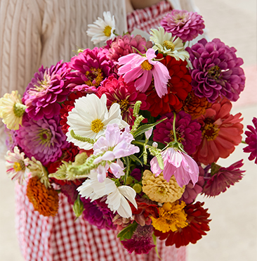 a person holding a bouquet of flowers