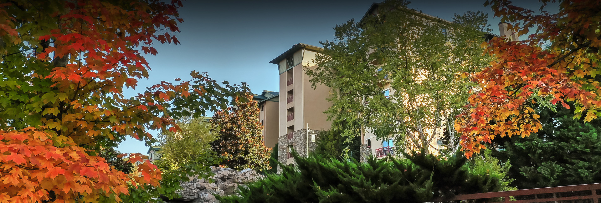 a group of buildings with trees