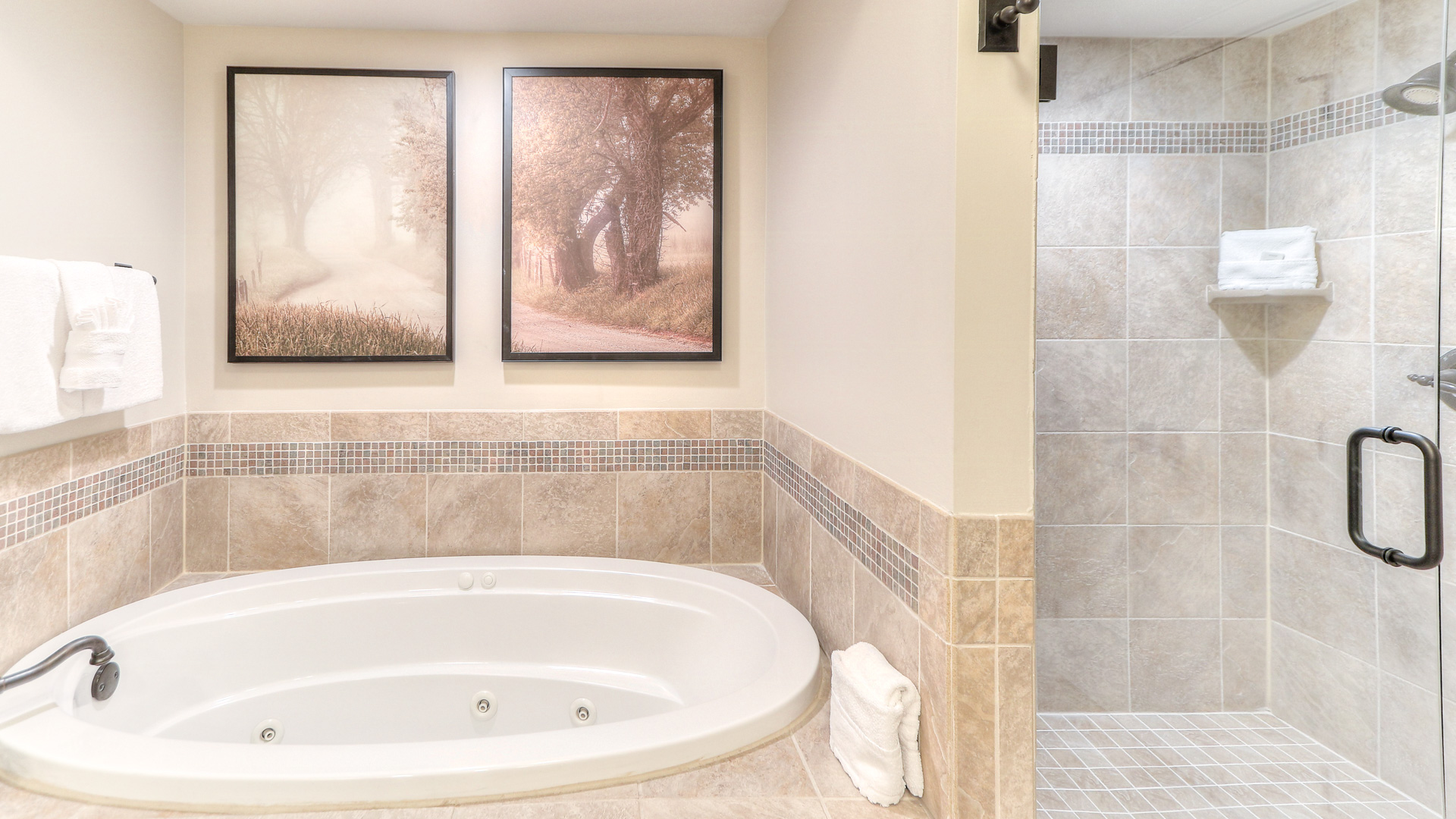 a bathroom with a tub and a shower