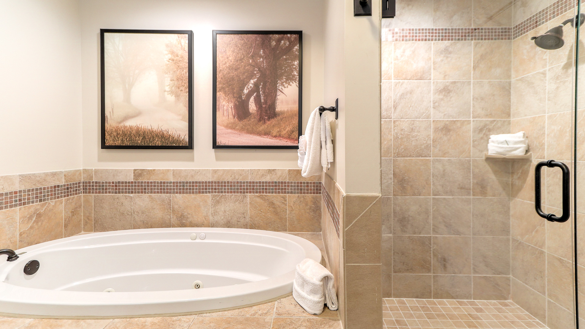a bathroom with a tub and a shower