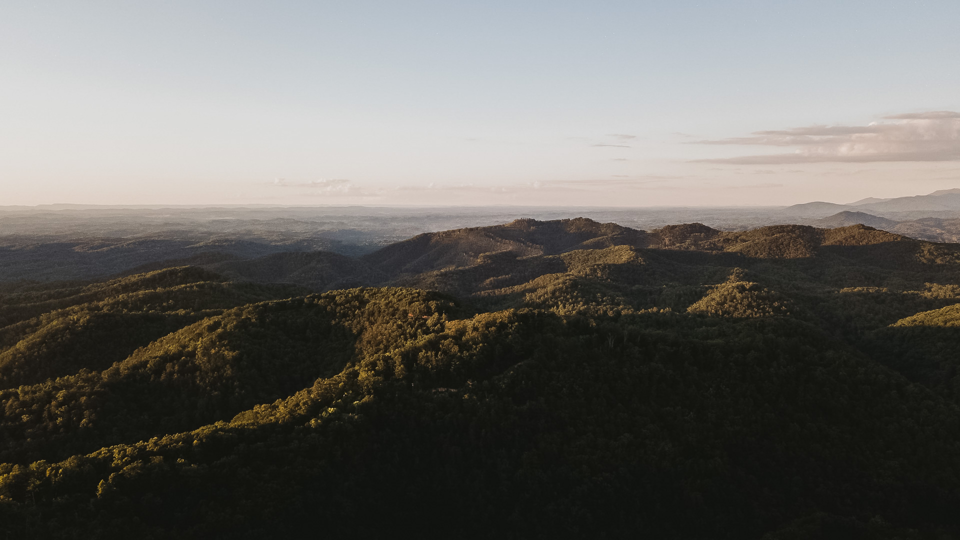a landscape of a forest
