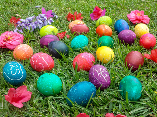 a group of colorful eggs on grass