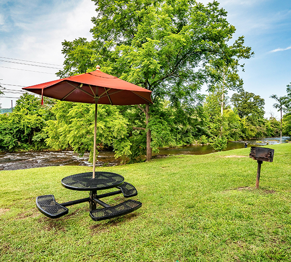 picnic table and umbrella in a park