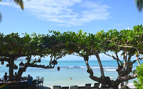 a beach with chairs and tables and chairs under a tree