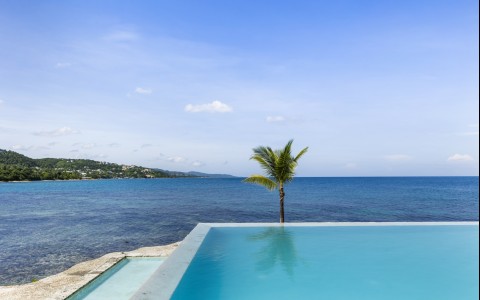a pool with a palm tree in the water