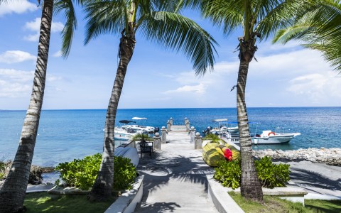 a walkway leading to a body of water with palm trees and boats