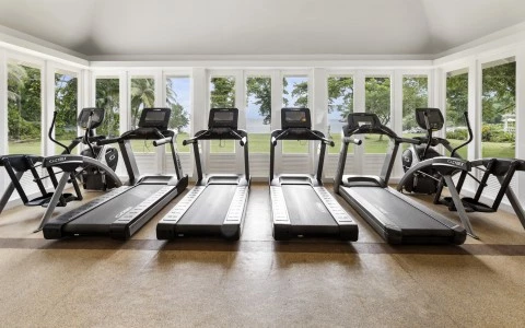 a group of treadmills in a room with windows