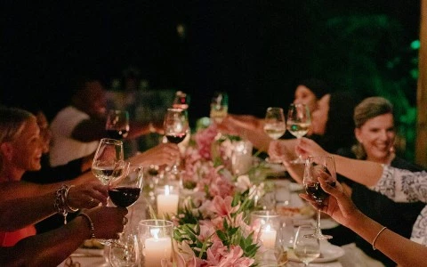 a group of people holding wine glasses at a dinner table