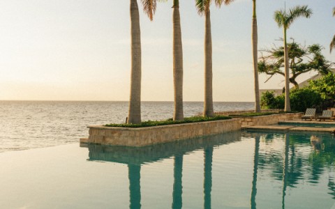 a pool with palm trees and a beach in the background