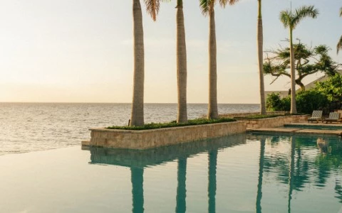 a pool with palm trees and a beach in the background