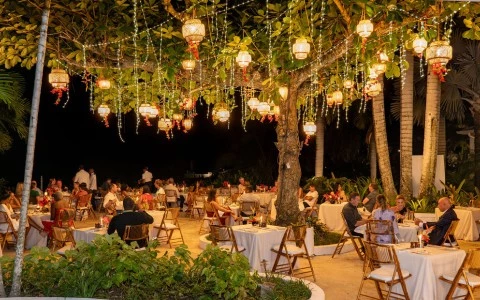 a group of people sitting at tables under a tree with lanterns from the ceiling