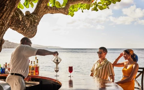 a group of people sitting at a table with drinks and a tree