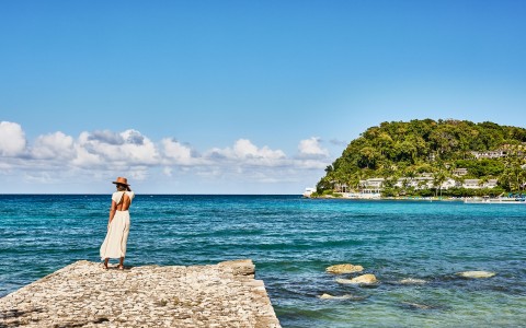 a woman standing on a dock overlooking a body of water