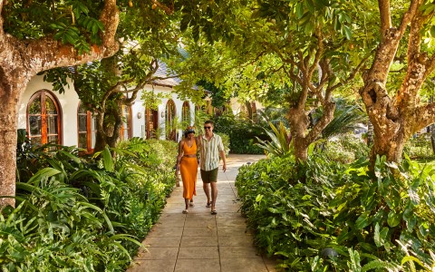 a man and woman walking down a path with trees and plants