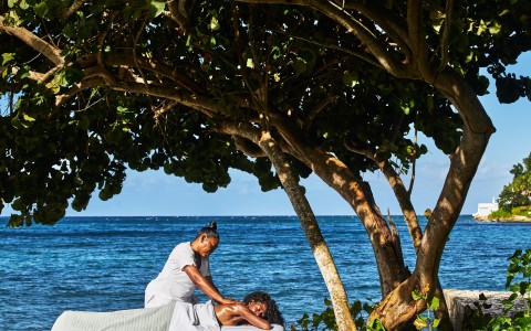 a woman lying on a bed under a tree by the ocean