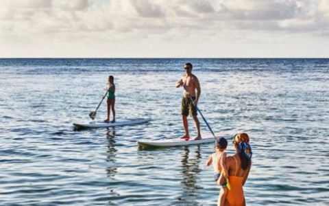 a group of people on paddle boards in the water