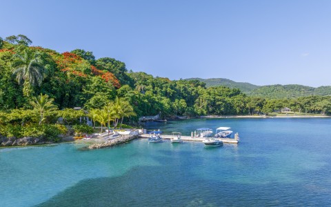 a dock with boats on it and trees in the background