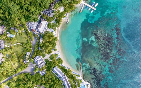 aerial view of a beach with boats and trees